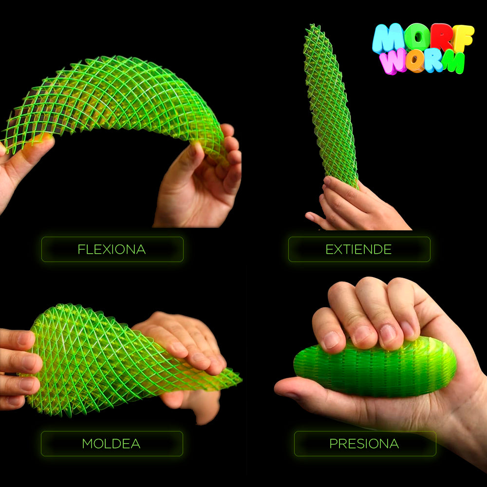 MORF WORM